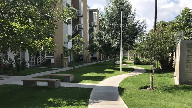 Un sendero bordeado por bancos, árboles y un edificio de varios pisos y balcones.