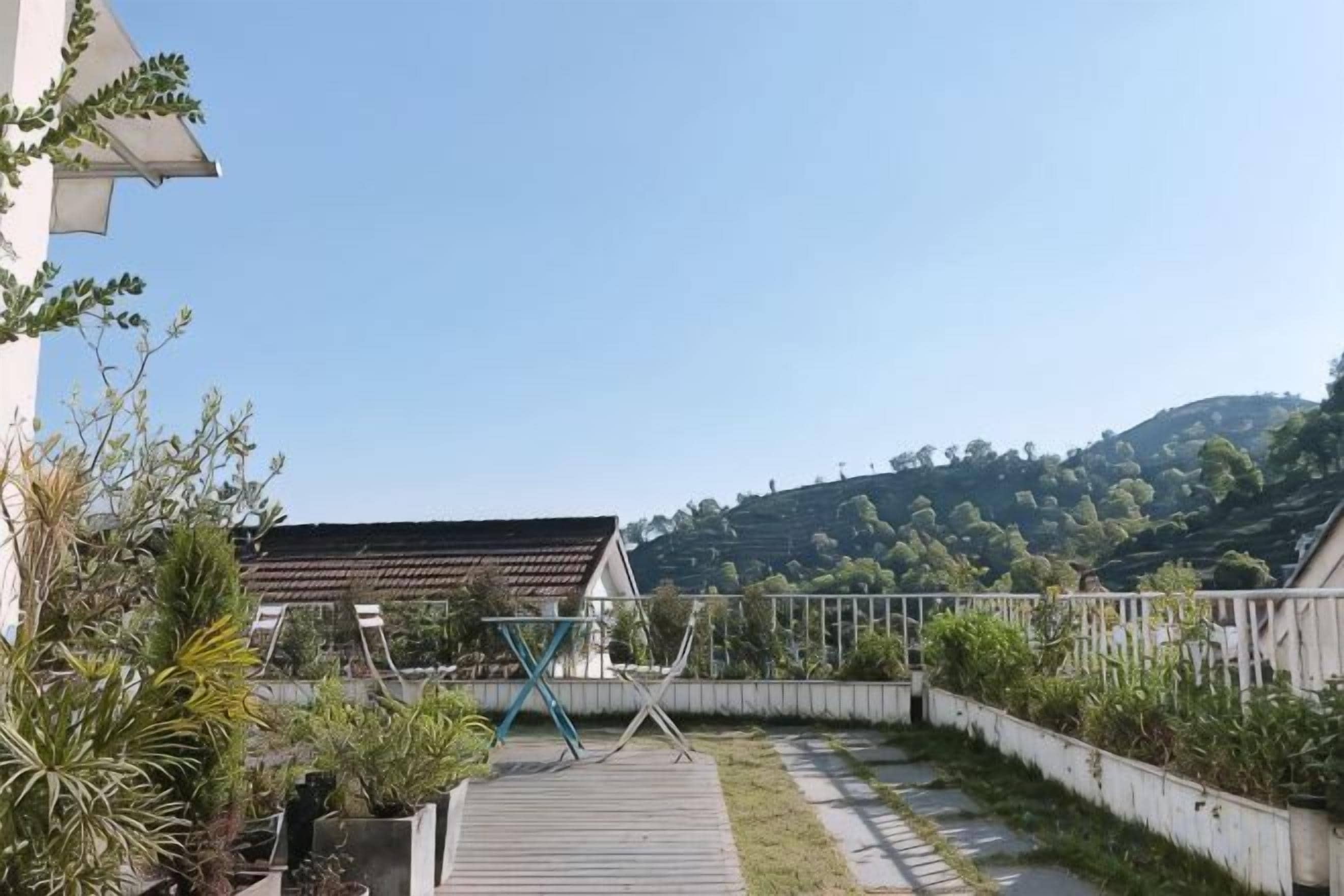 A courtyard with a wooden deck, potted plants, and a metal sculpture.