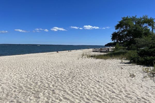 Plage à proximité, chaises longues, serviettes de plage