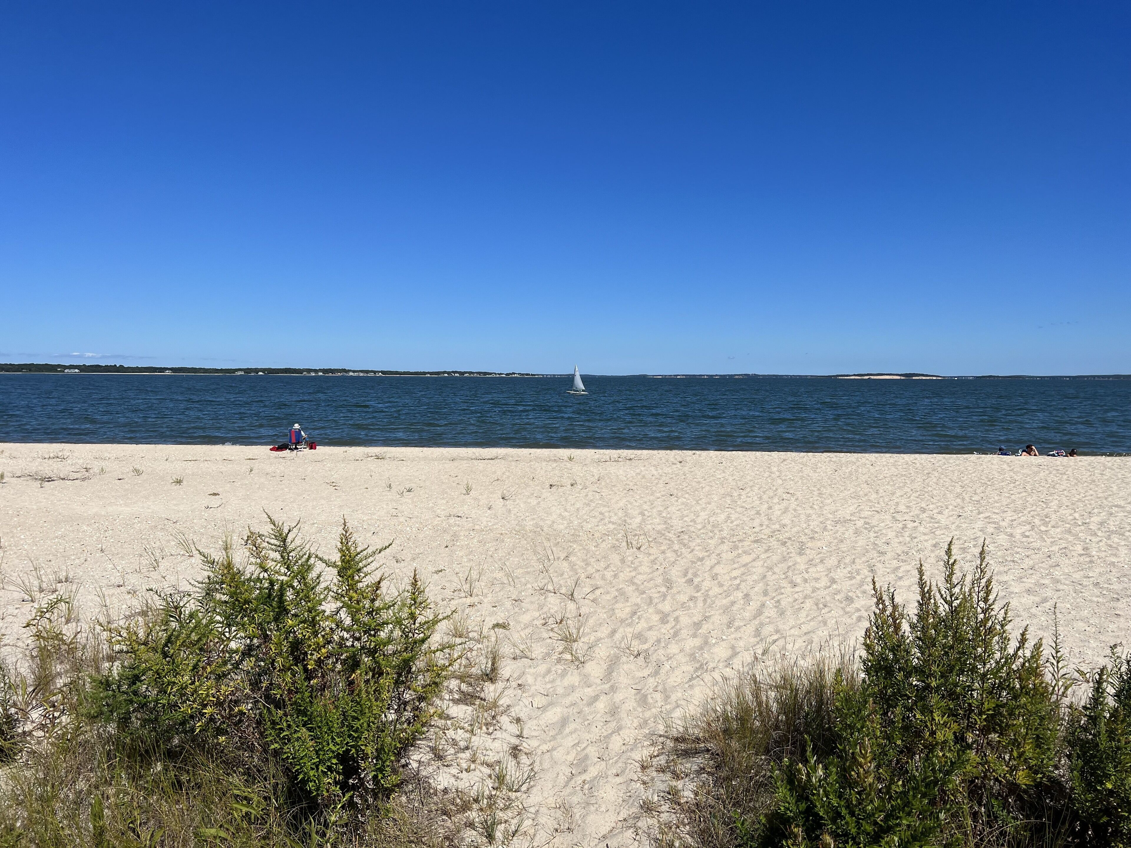 Plage à proximité, chaises longues, serviettes de plage