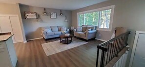 智能電視、壁爐、書籍