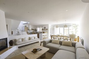 Televisión, chimenea, libros