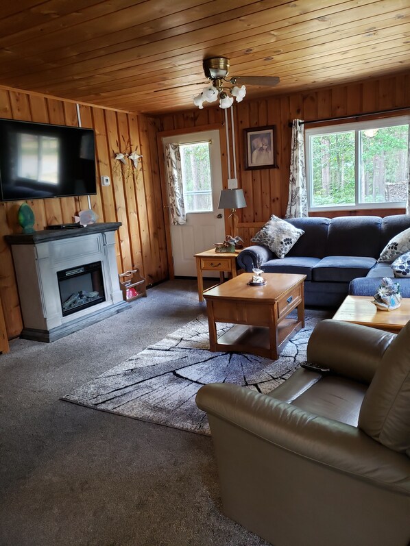 TV, fireplace, video games, DVD player