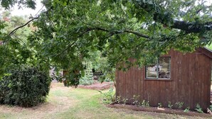 A wooden shed with a window, surrounded by a garden with a hedge and a lawn.