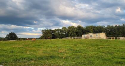Secluded cabin on a horse farm, bordered by the North River