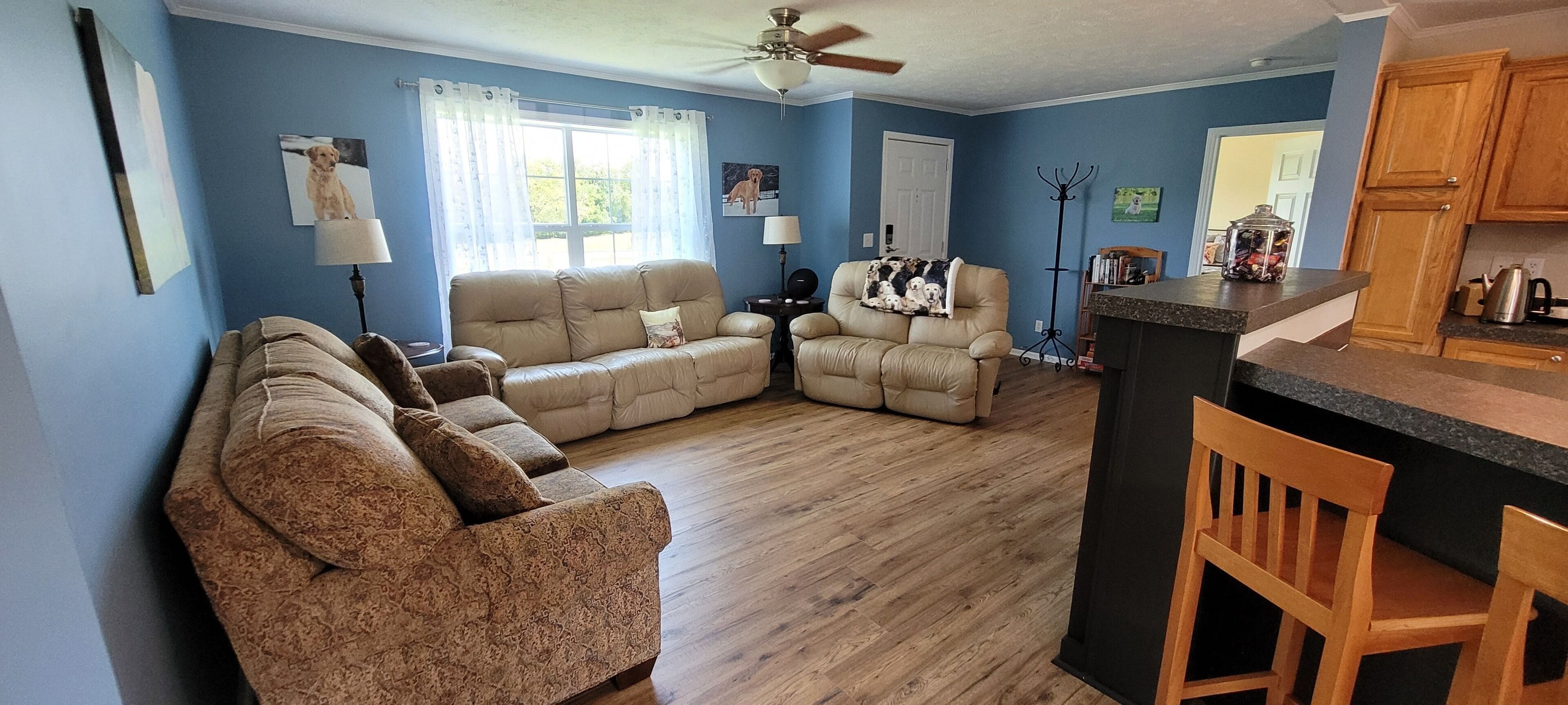 Smart TV, DVD player, books, video library