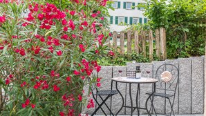 Een terras met een tafel en stoelen, een stenen muur en een houten omheining op de achtergrond.