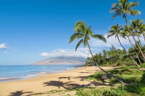 ビーチの近く、サンラウンジャー、ビーチタオル