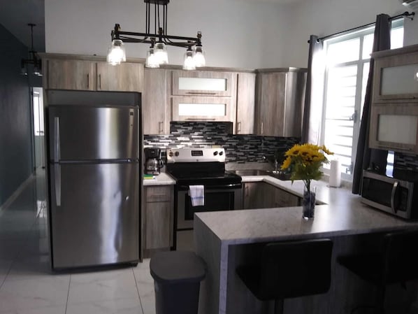 Luxury Condo | Private kitchen | Full-sized fridge, microwave, oven, stovetop