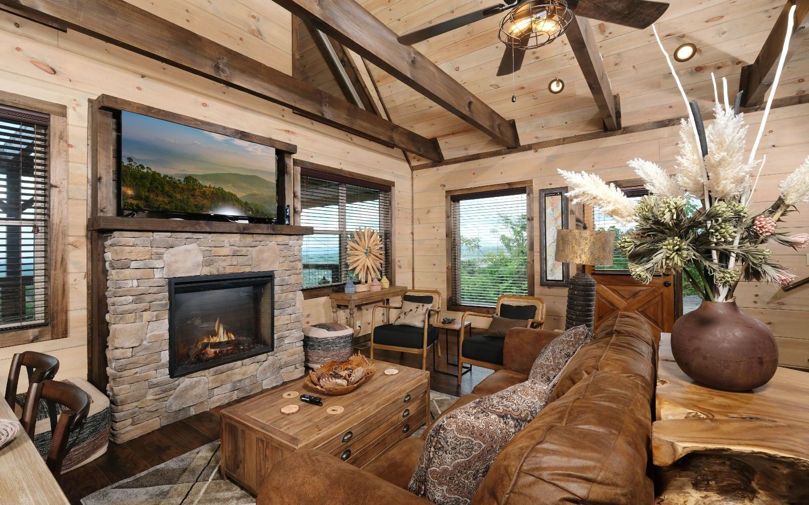 TV, fireplace, video games