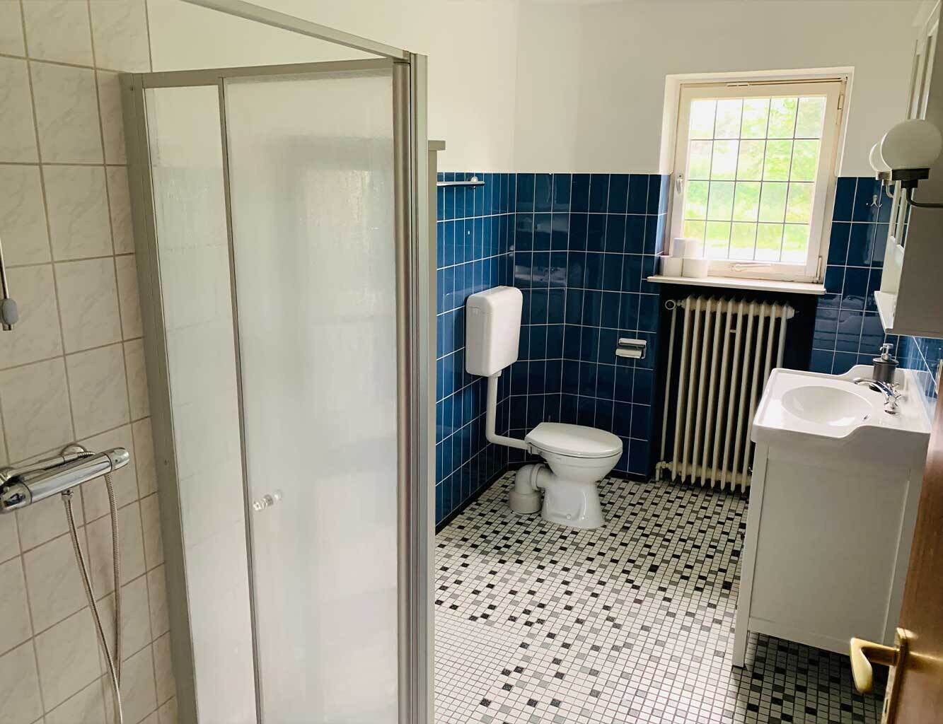 A bathroom with a toilet, a sink, a shower, and a window.