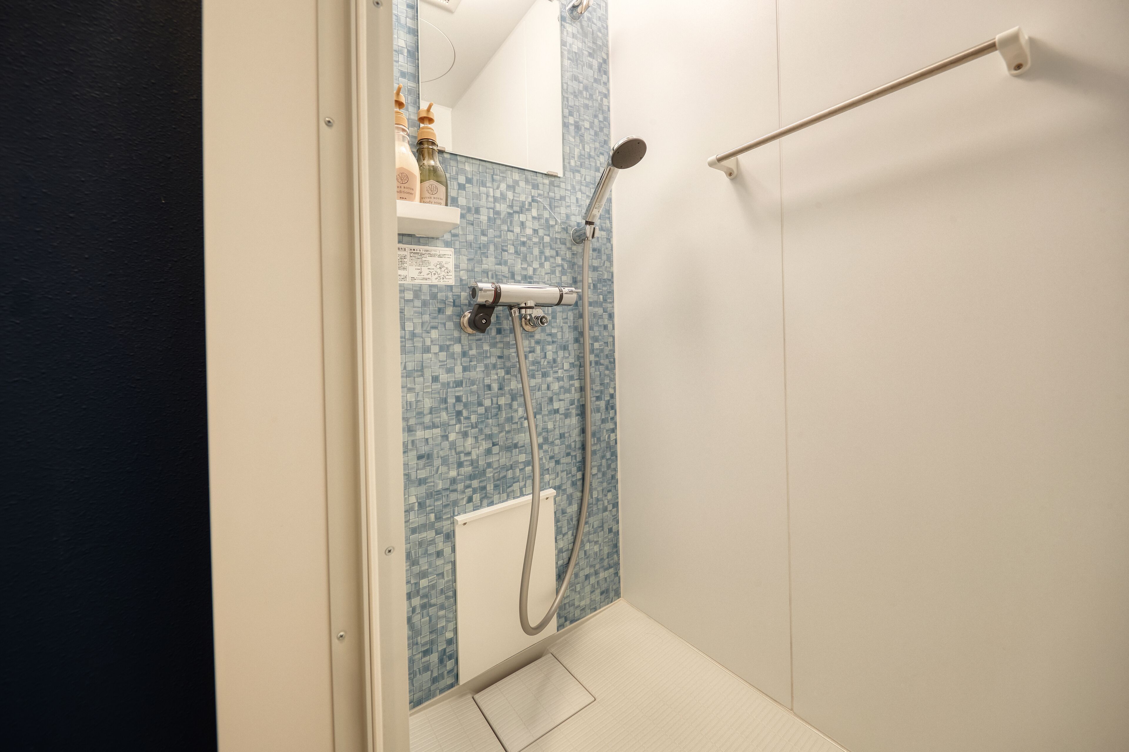 Une salle de bain avec une douche, un porte-serviettes et un miroir.