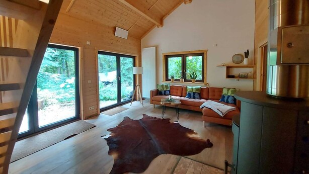 Un vaste espace de vie doté d’un plafond en bois, d’un tapis en cuir, d’un canapé avec des coussins et d’un coin cuisine équipé d’un réfrigérateur.