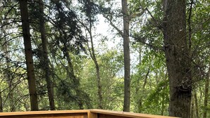 Une personne se détend dans un bain à remous d’un spa, entourée d’une terrasse en bois et de cordes, le tout situé dans une zone boisée.