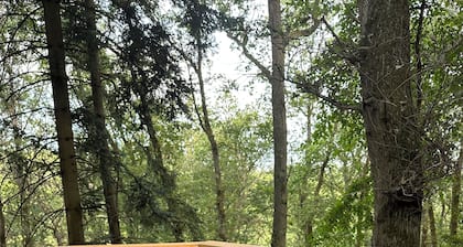 Vacation home in the Wetzlar cherry grove