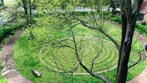 Un jardín circular con un sendero sinuoso, un banco y un árbol en primer plano.