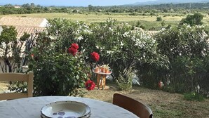 Ein Tisch mit Teller und kleiner Topfpflanze, umgeben von üppigem Grün und Blick auf eine ländliche Landschaft.