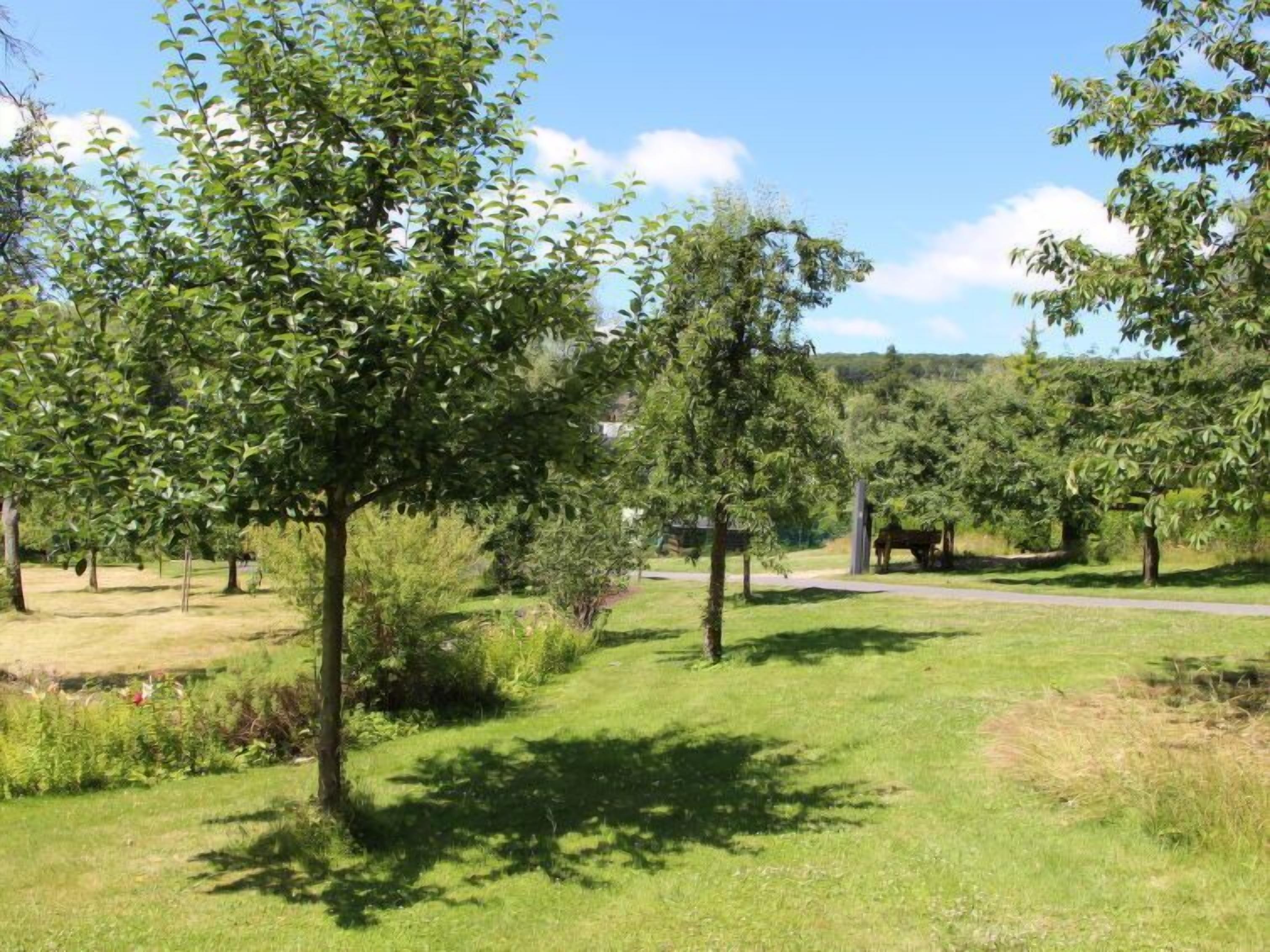 A park with trees, a path, and a wooden structure.