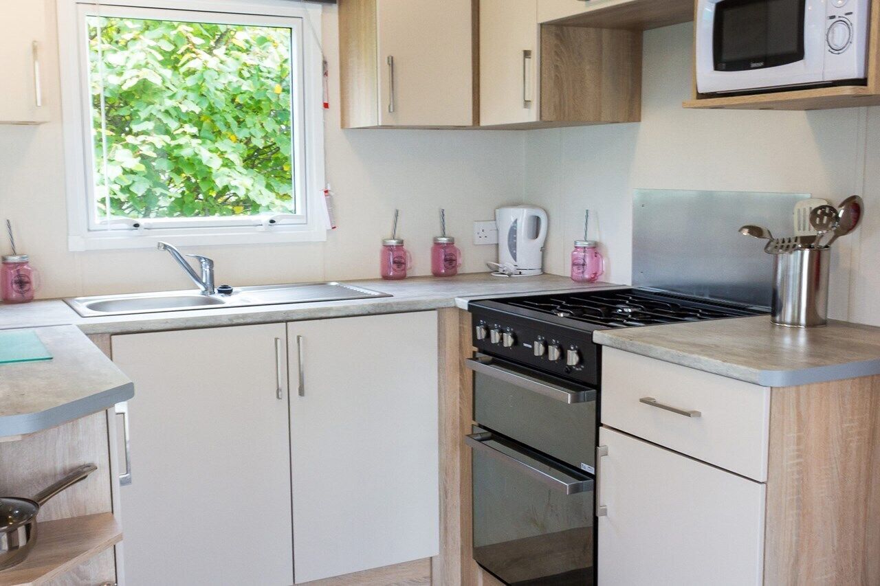 A modern kitchen with a sink, stove, oven, and microwave. There is a window with a view of greenery outside.