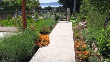 House | Property grounds