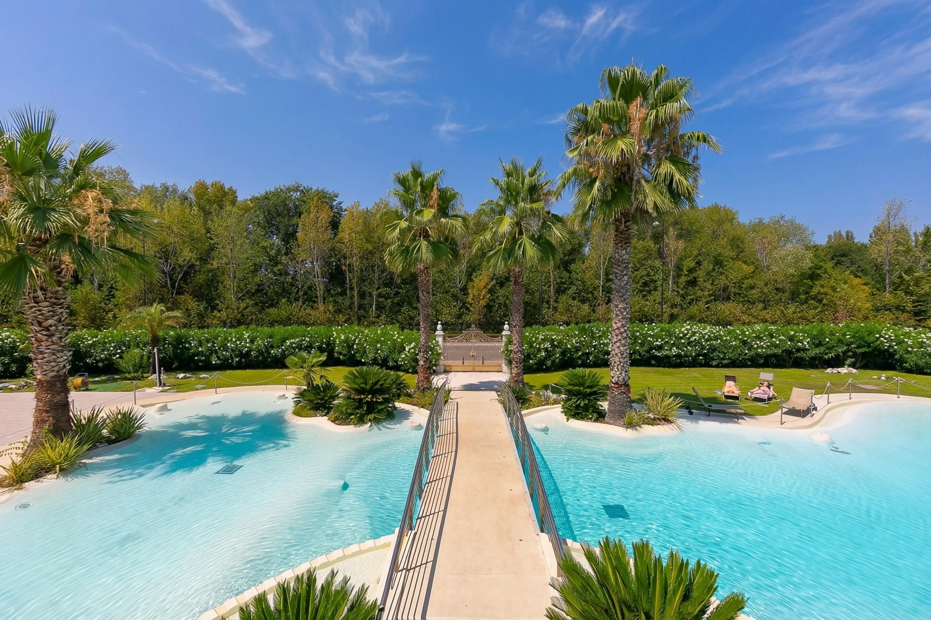 Una amplia piscina exterior con un paseo central, rodeada de palmeras y follaje.