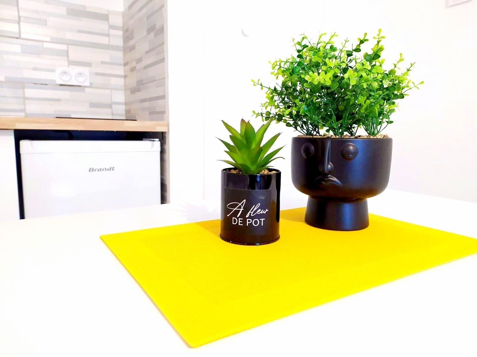 Two potted plants on a yellow surface with a white background.