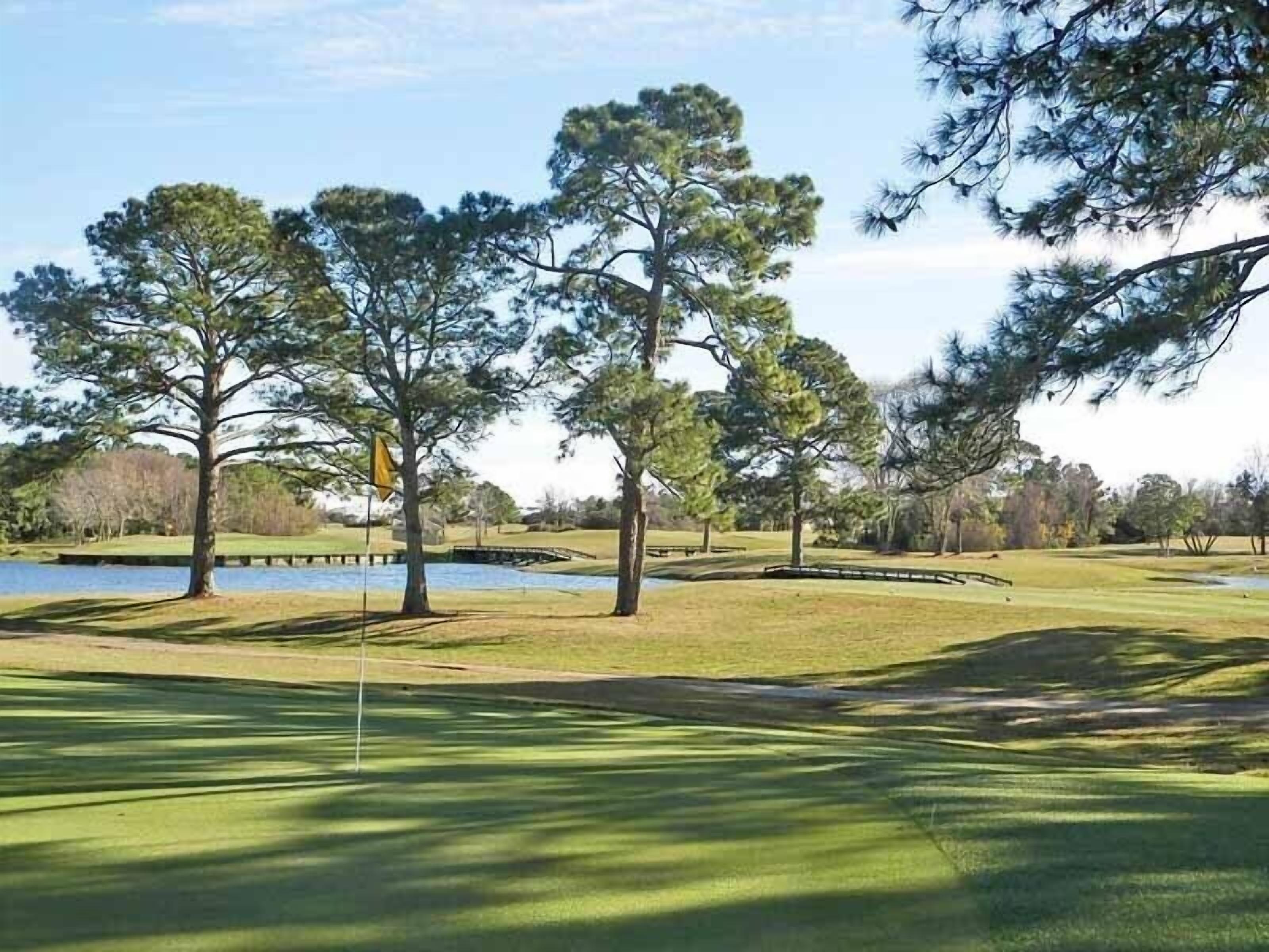 A golf course with a water hazard, trees, and a flag.