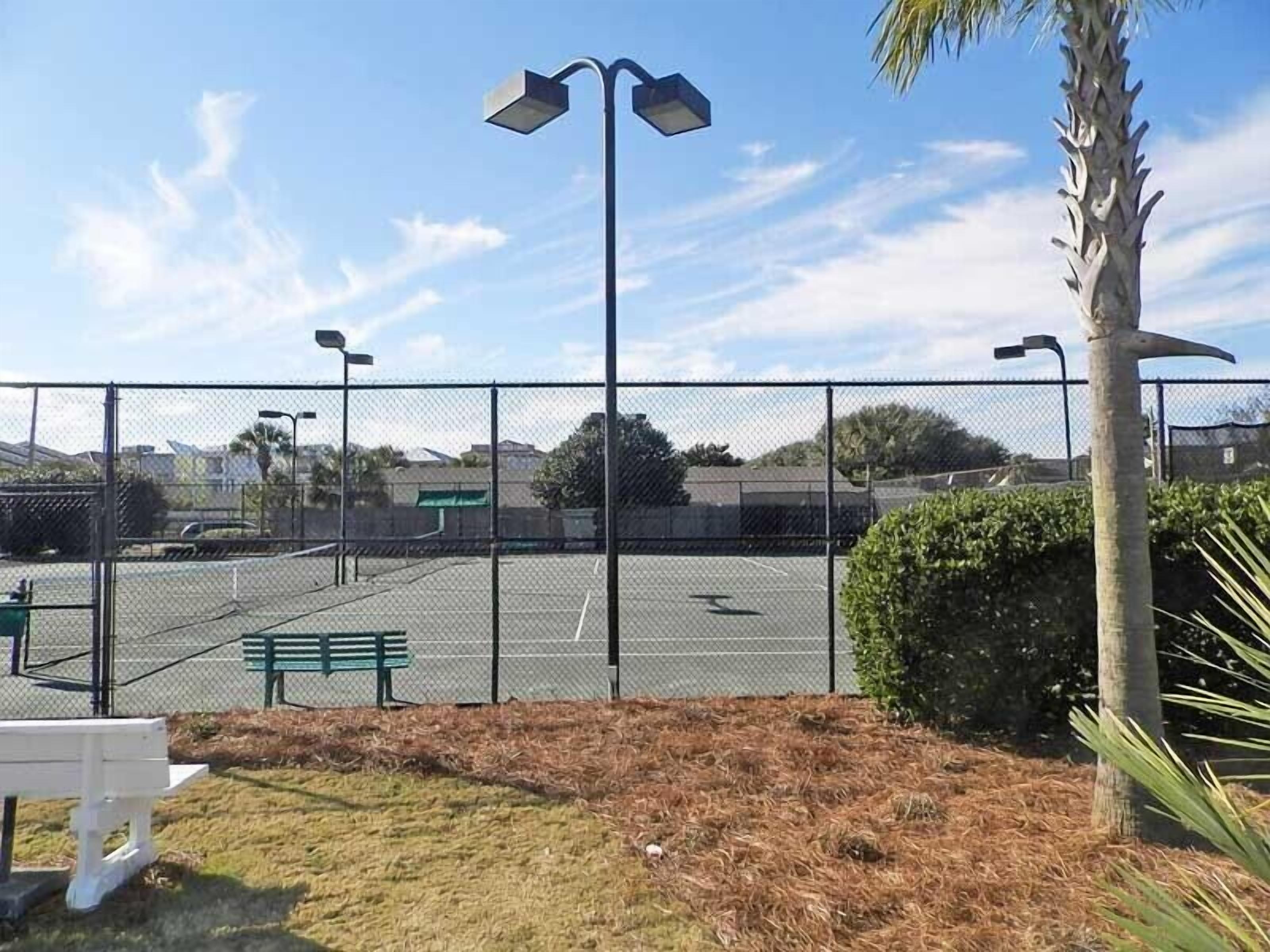 Ein eingezäunter Tennisplatz mit einer Bank und einer Palme.
