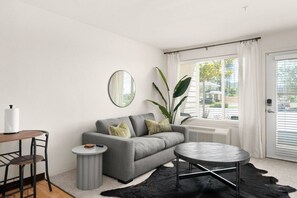 Smart TV, lareira, livros