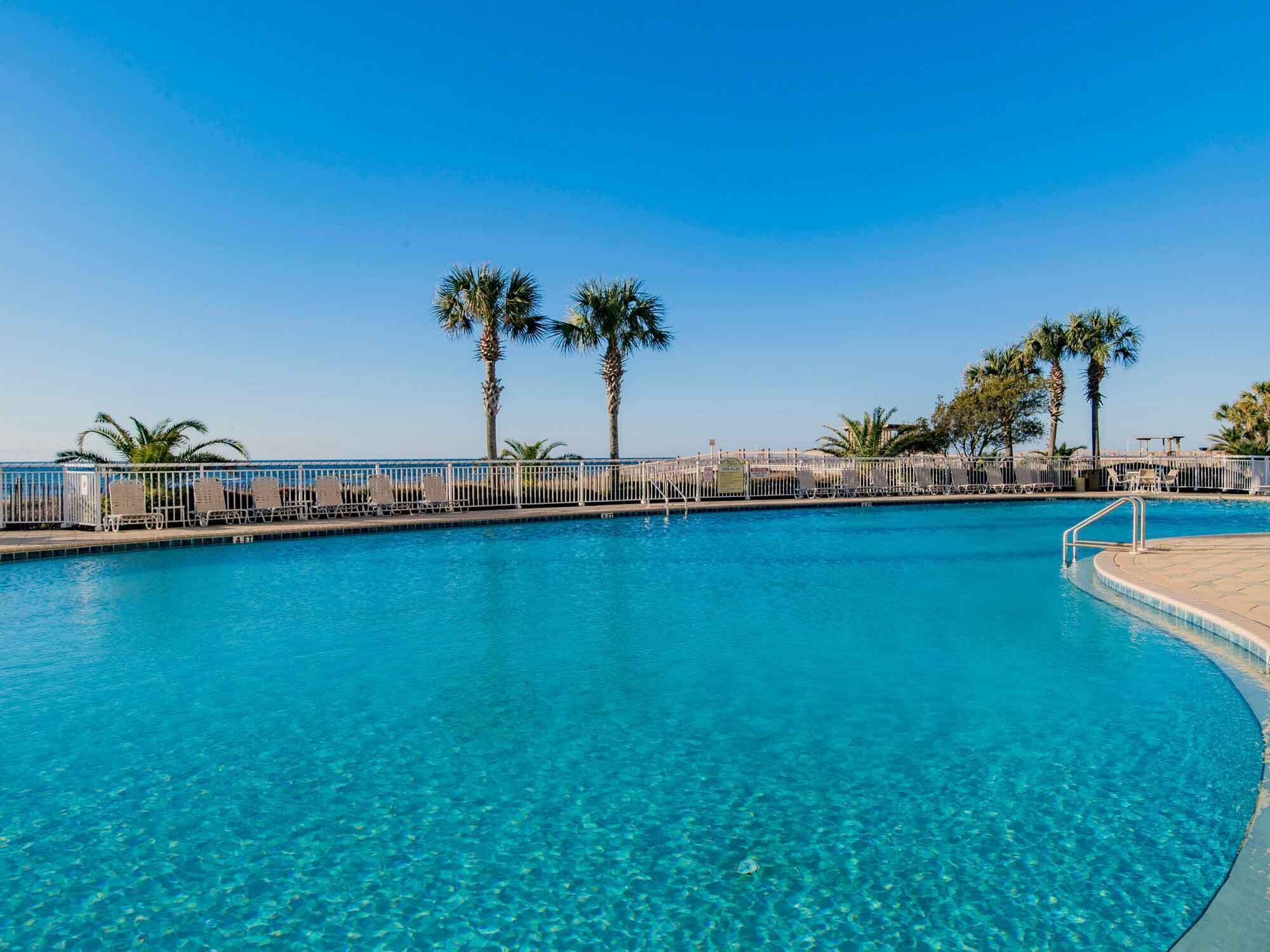A clear blue pool with a white poolside area, palm trees, and a clear sky.