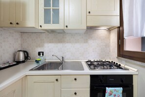 Fridge, oven, stovetop, electric kettle