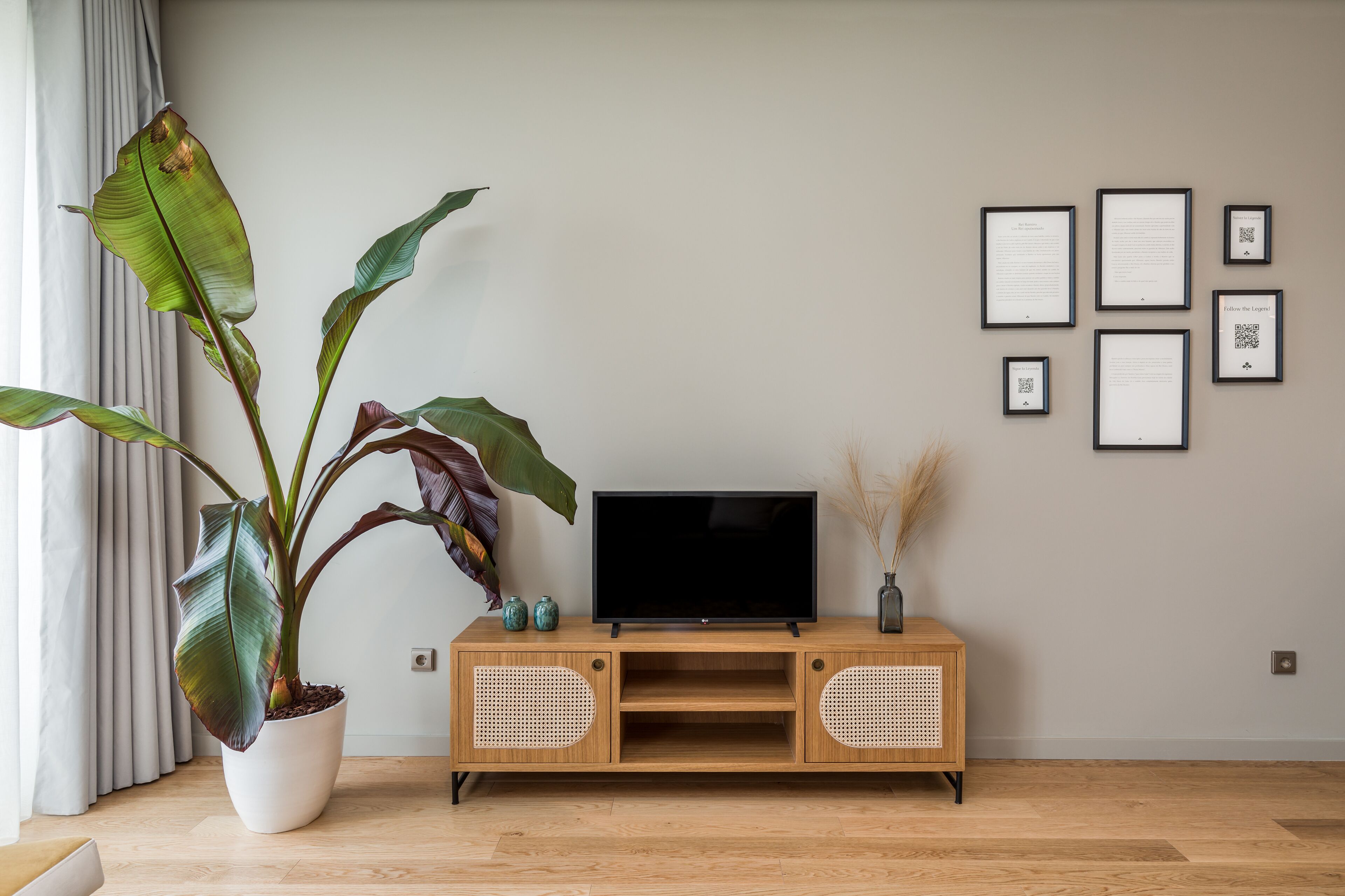 A modern living room with a wooden TV stand, a large potted plant, and framed documents on the wall.