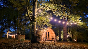 A rustic wooden cabin surrounded by trees, with string lights and a bench in the foreground.