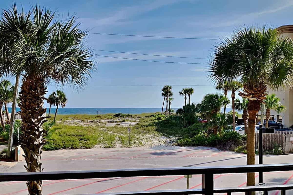 A view of a beach with palm trees and a parking lot.