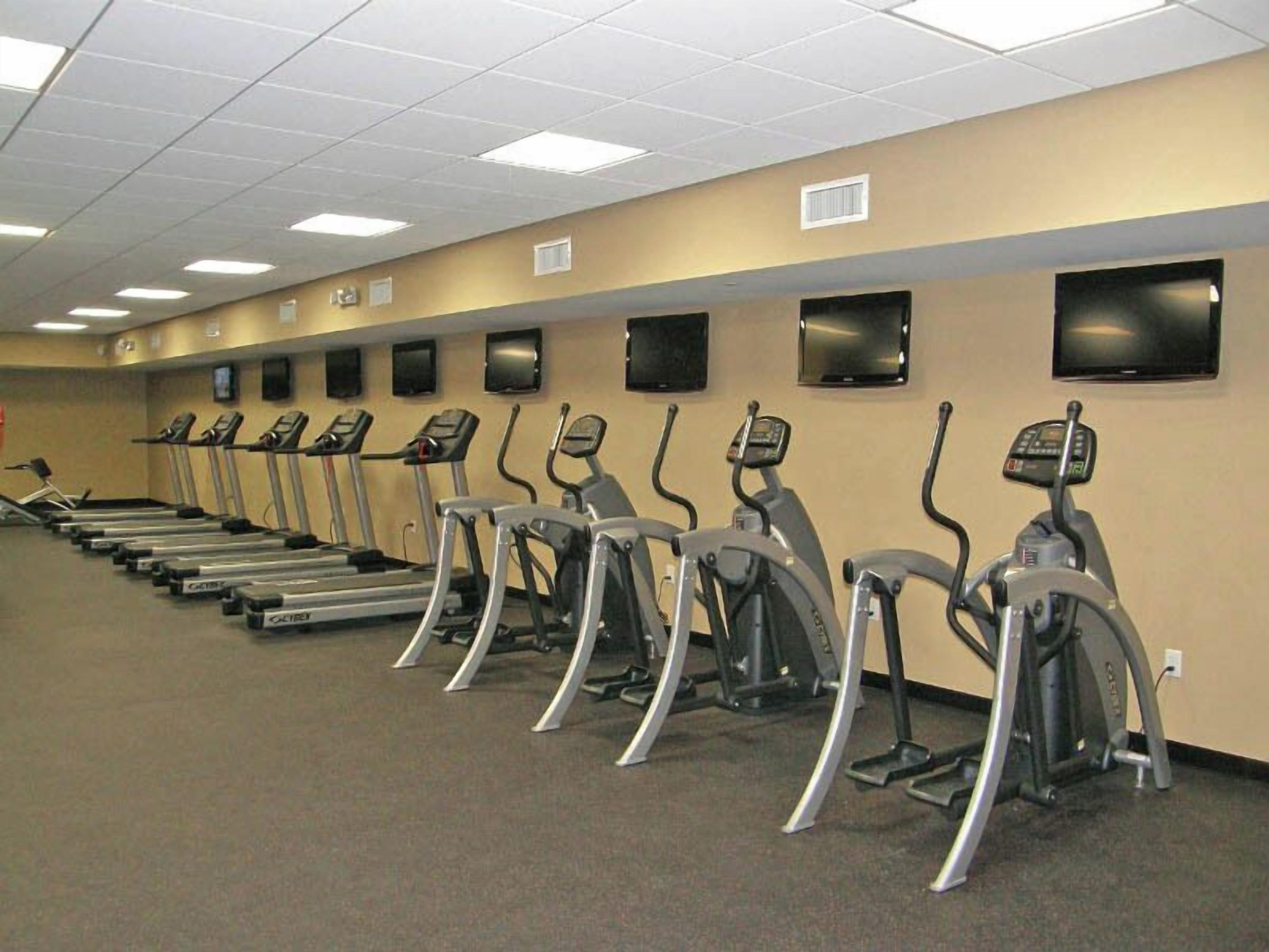 A gym with treadmills and elliptical machines arranged in rows.