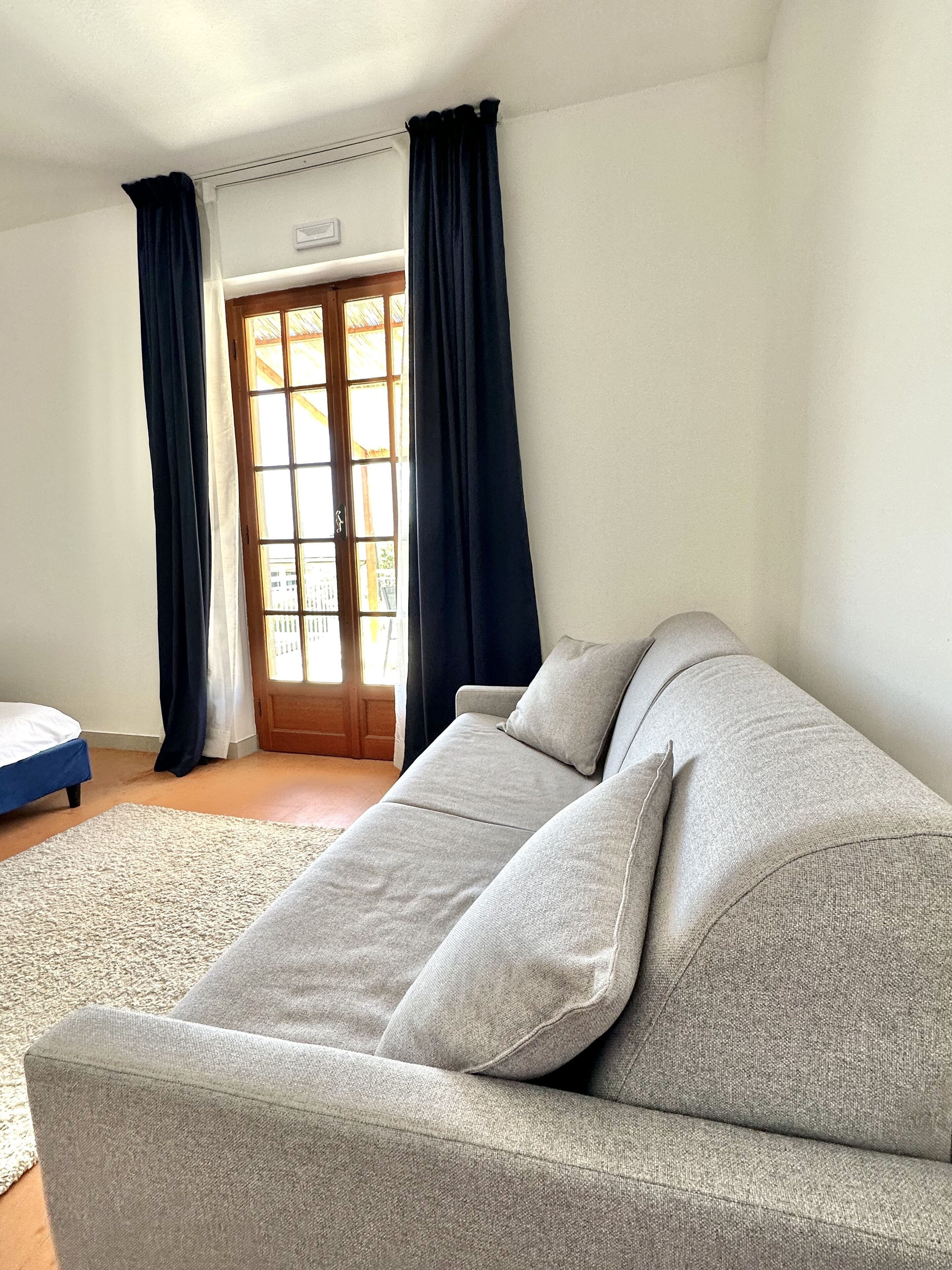 Una habitación con un sofá gris, un tapete blanco y una puerta de madera con paneles de vidrio.