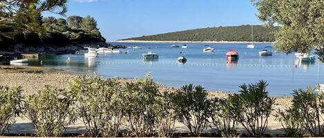 بالقرب من الشاطئ