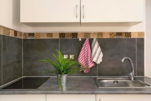 Fridge, microwave, stovetop, coffee/tea maker