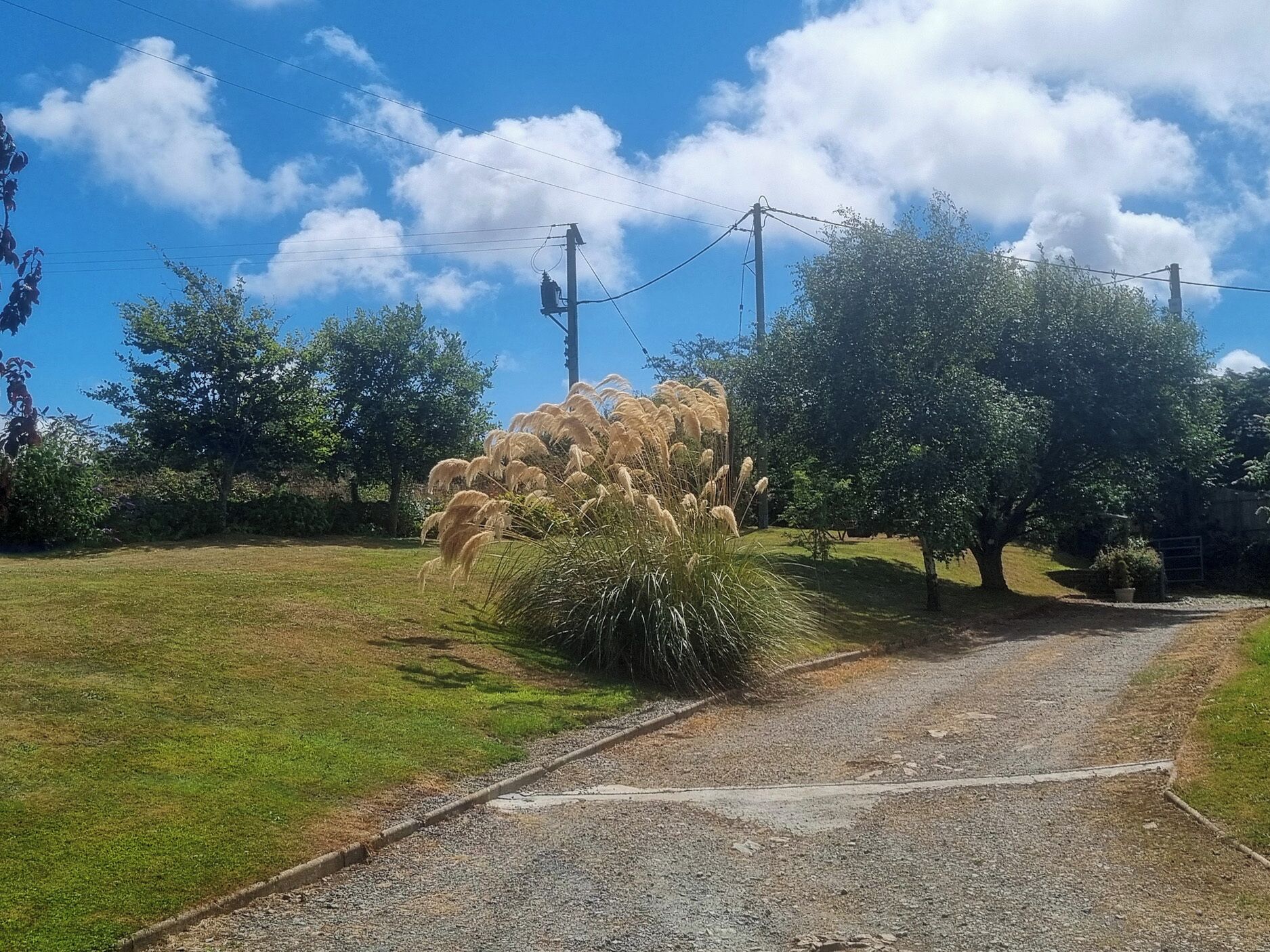 Une allée de gravier mène à une maison devant laquelle se trouve un grand arbuste.
