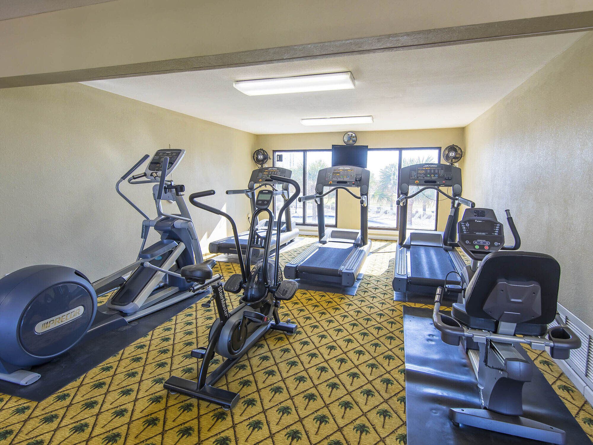 A gym with treadmills, elliptical machines, and a stationary bike.