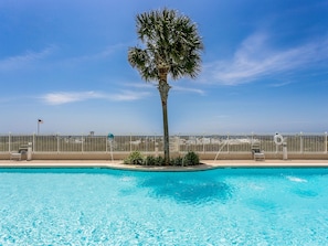 Relax by the serene pool surrounded by a palm tree and lounge chairs.