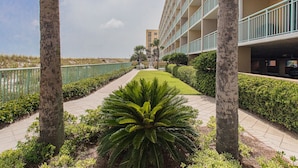 Un hôtel doté d’une allée centrale bordée de palmiers et d’une végétation bien entretenue, qui mène à un bâtiment agrémenté de nombreux balcons.