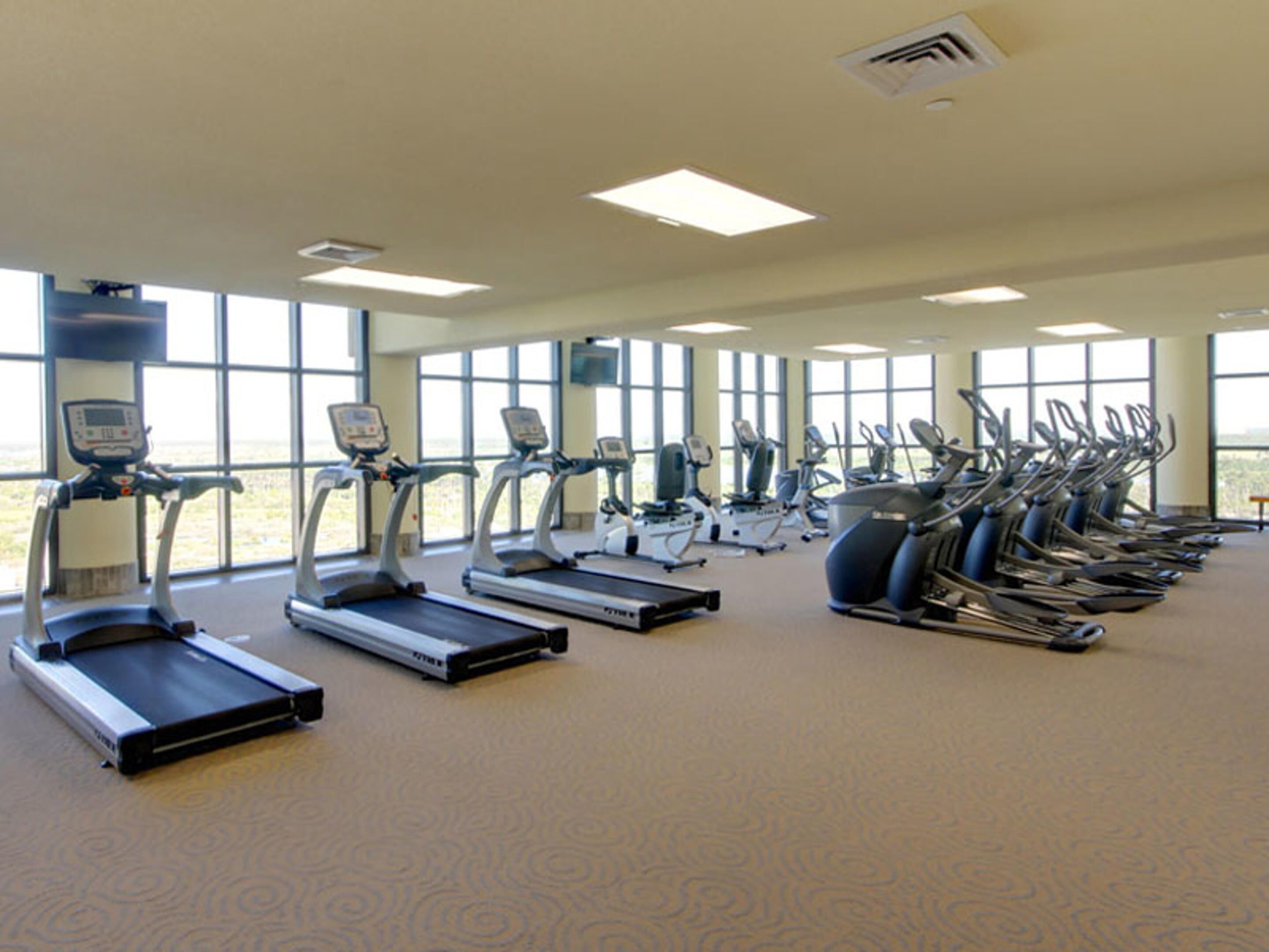 A gym with treadmills, elliptical machines, and stationary bikes arranged in rows.