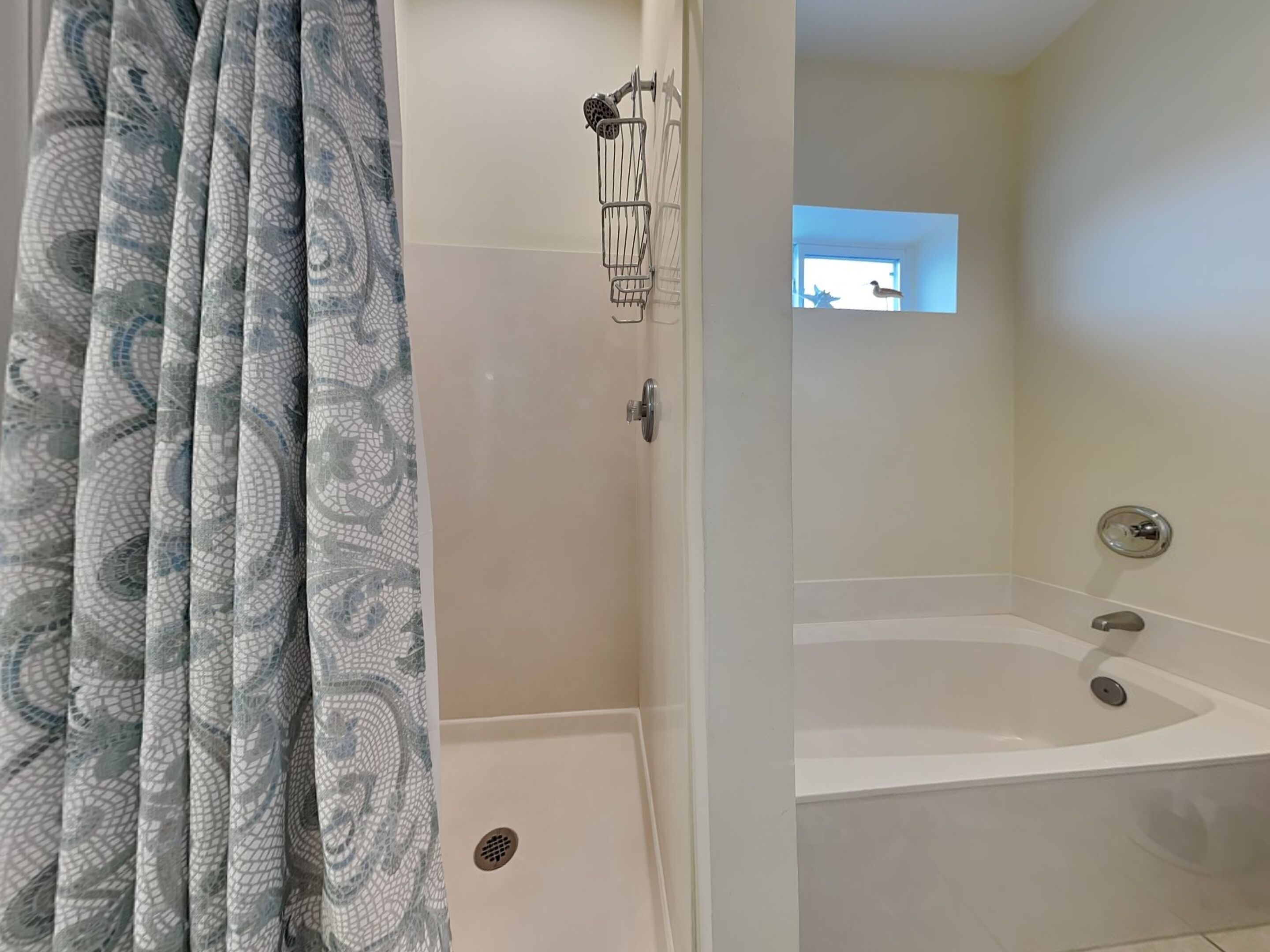 A bathroom with a shower, a bathtub, and a window with a view of the sky.