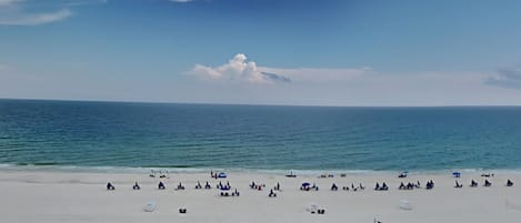 Tæt på stranden