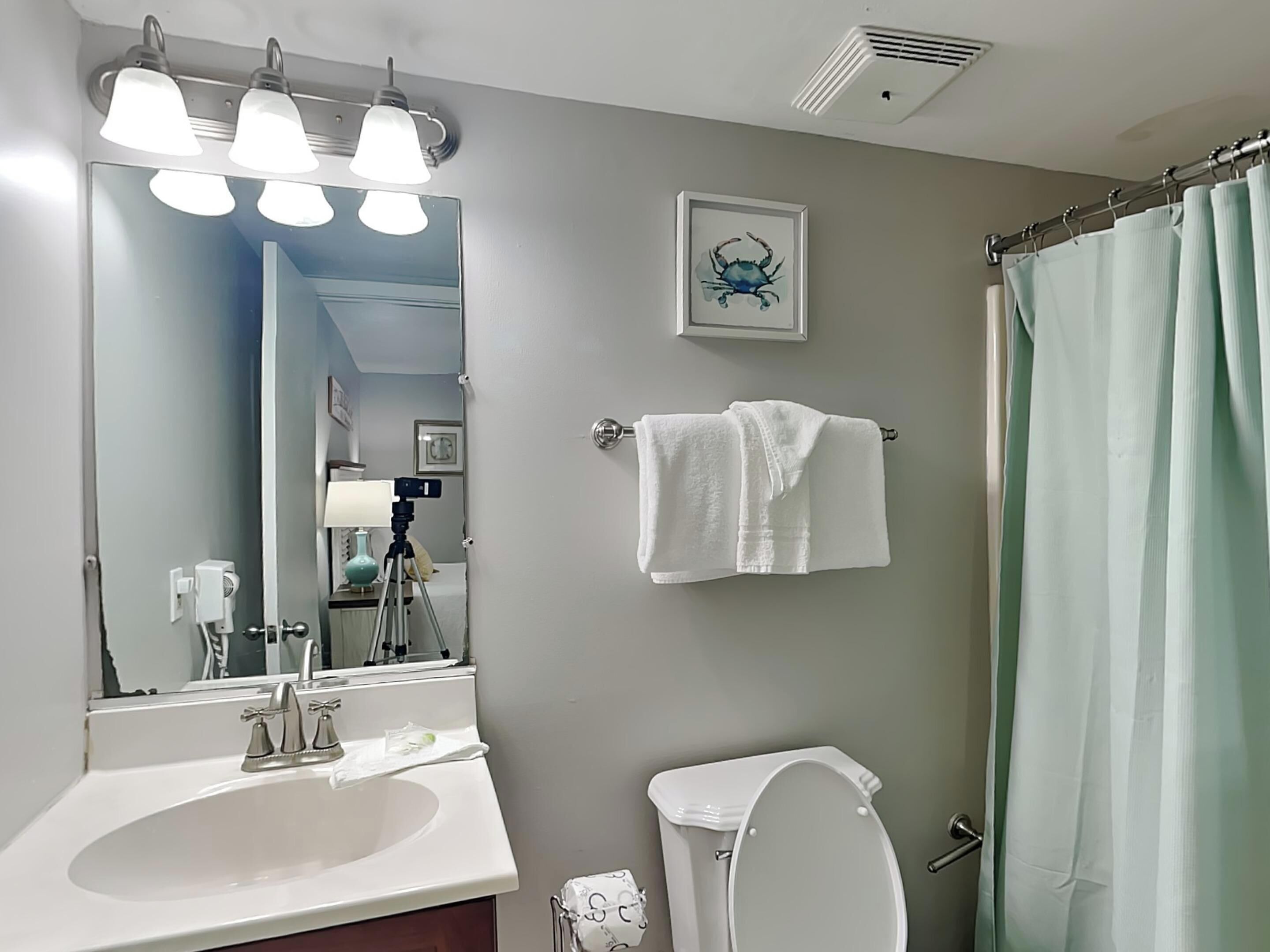 A bathroom with a white sink, a toilet, a shower curtain, and a framed picture on the wall.