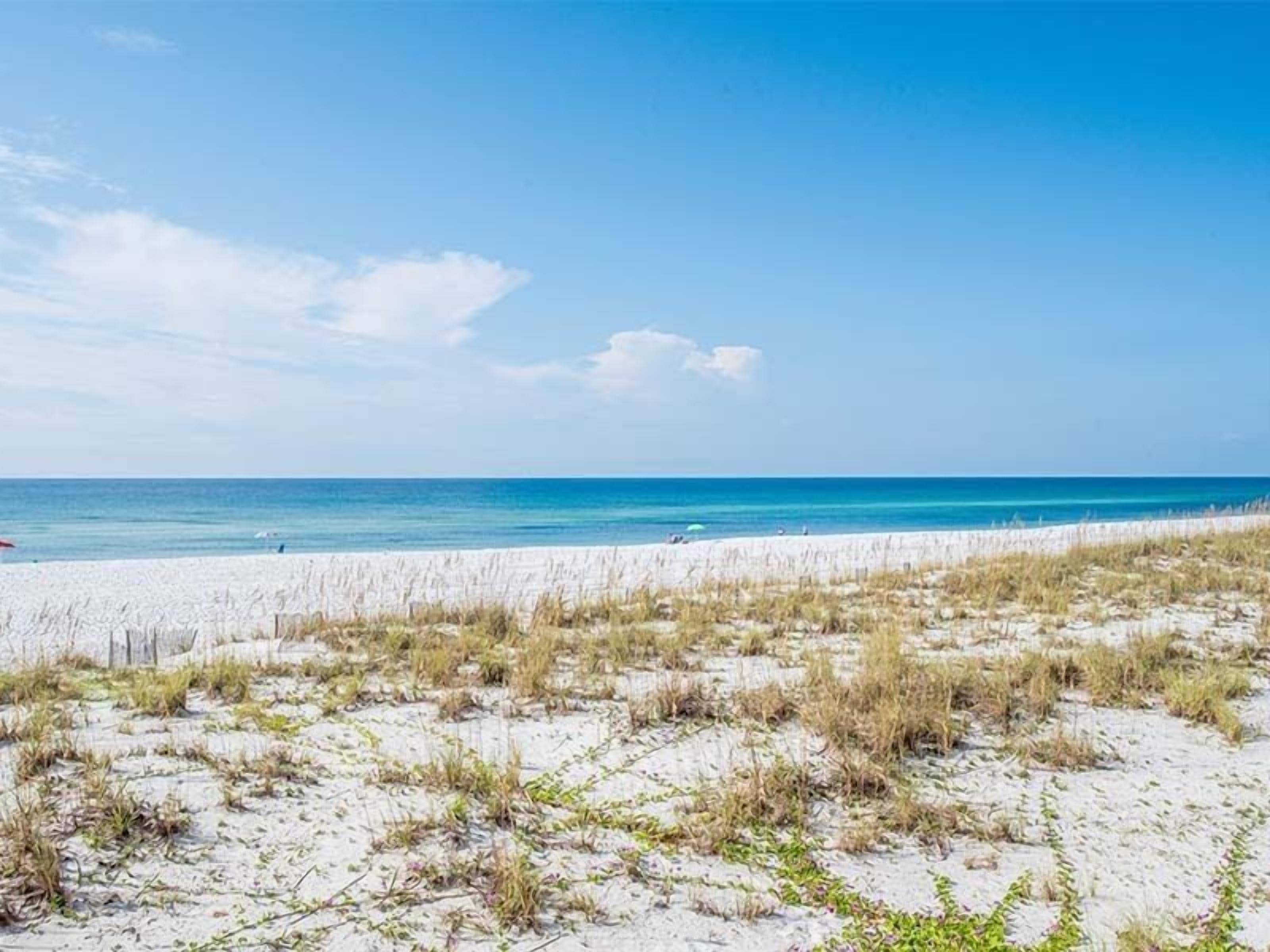 Ein Strand mit weißem Sand und vereinzelter Vegetation.