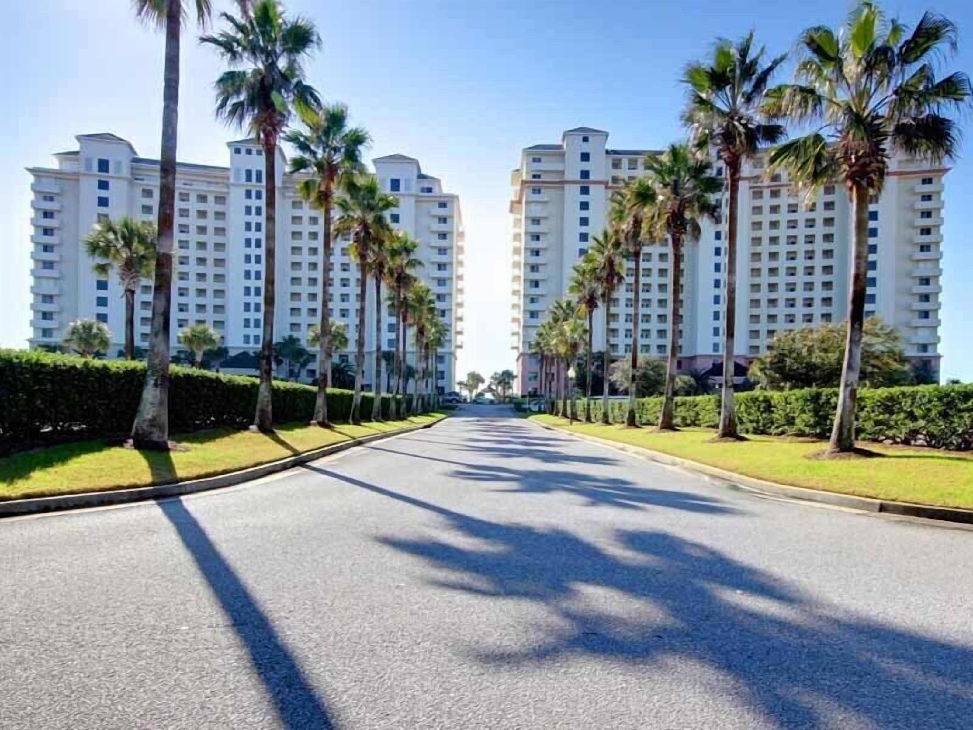 Eine Straße gesäumt von Palmen und Hochhäusern.