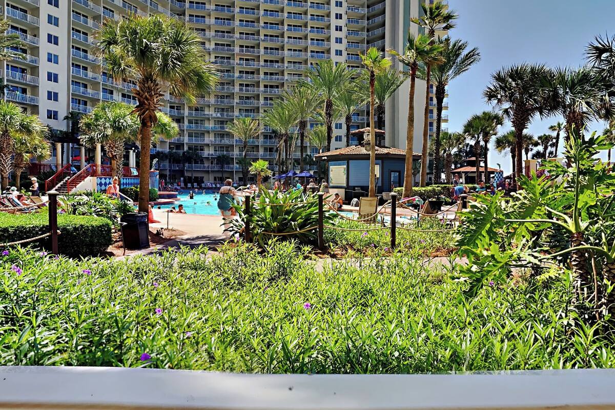 A hotel with a large pool area surrounded by palm trees and greenery.
