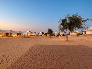 A desert landscape with multiple tents and a single tree, suggesting a temporary accommodation setup. - Wild Heritage Desert Camp Jaisalmer (Jaisalmer)